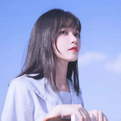 动物园方块游戏下载